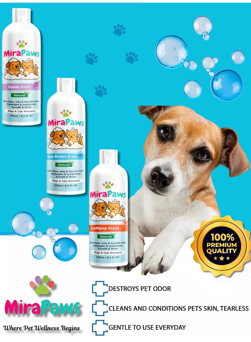 MiraPaws Pets Shampoo - Candy Scent 250ml + Sea Breeze Sent 250ml + Lollipop Sent 250ml (Pack of 3) - Image 2